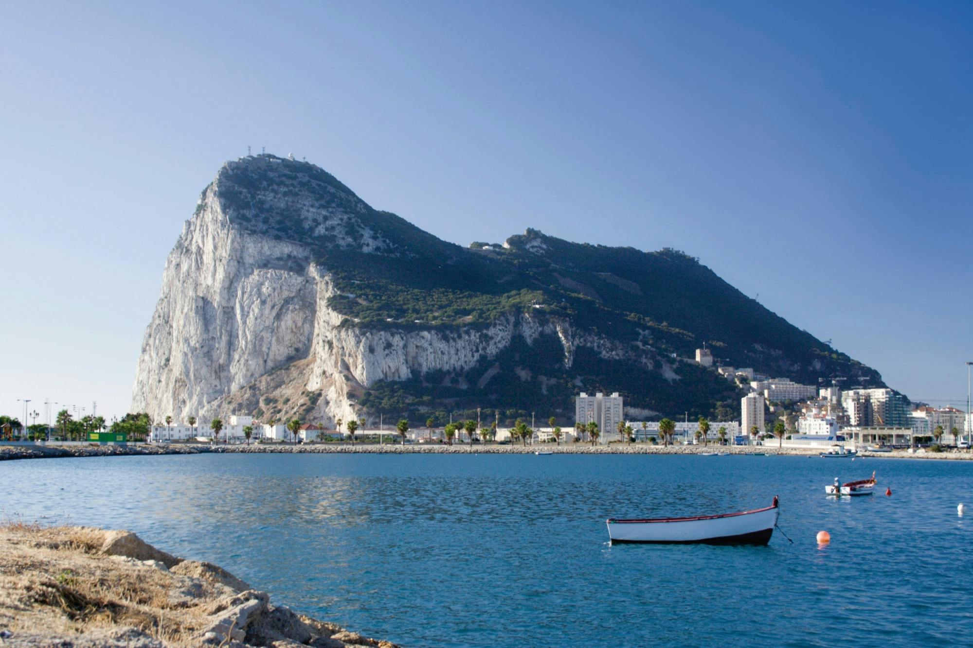 Gibraltar walking tour with dolphin-watching boat trip