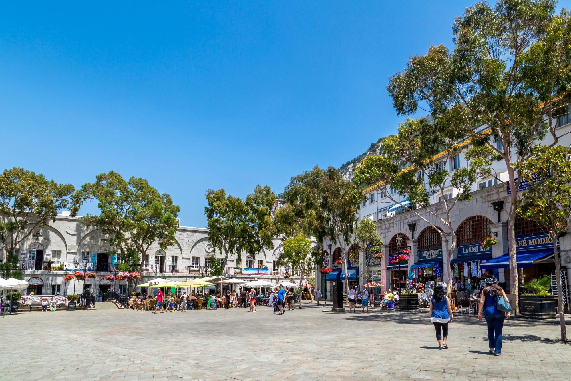 Gibraltar walking tour with dolphin-watching boat trip