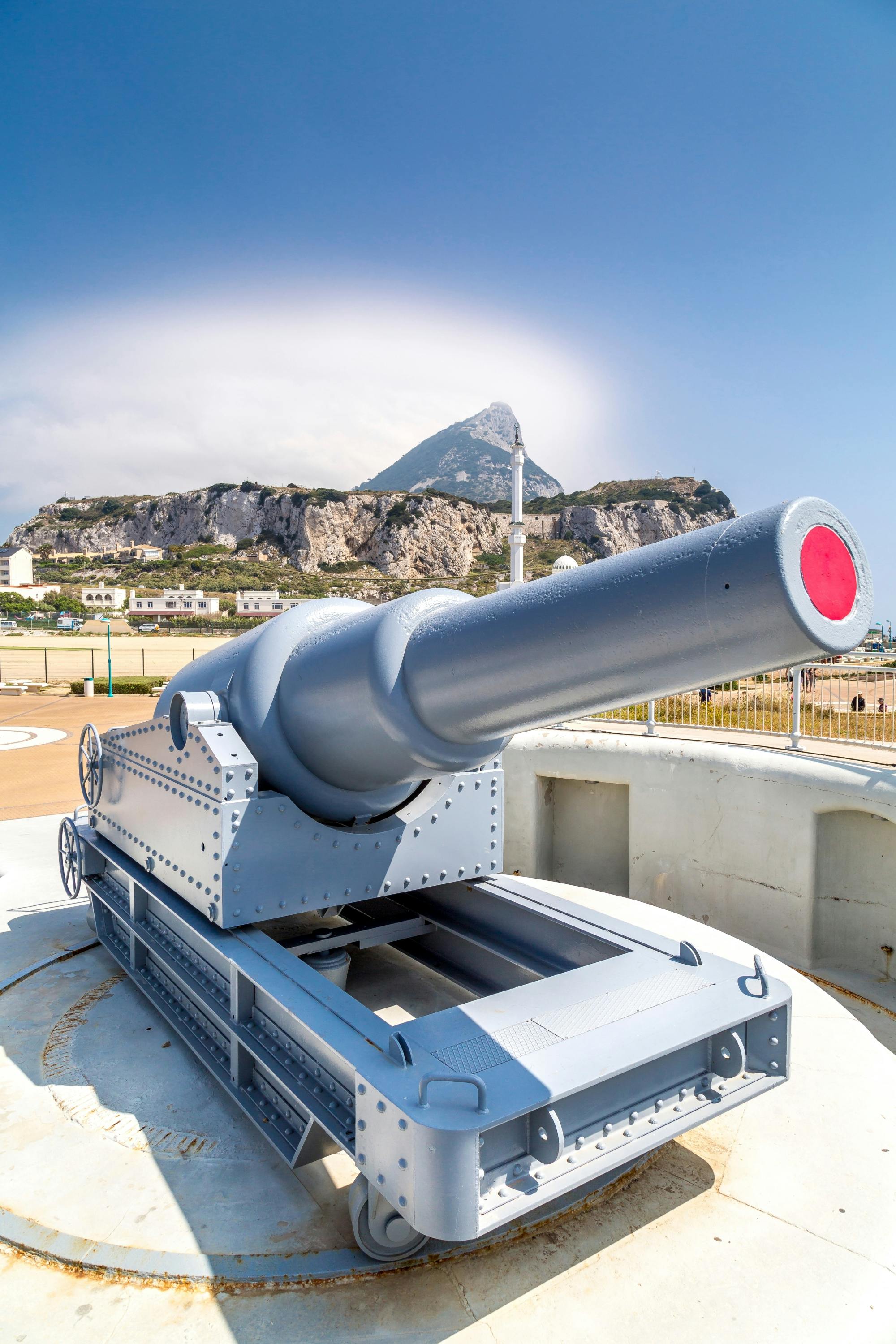 Gibraltar walking tour with dolphin-watching boat trip