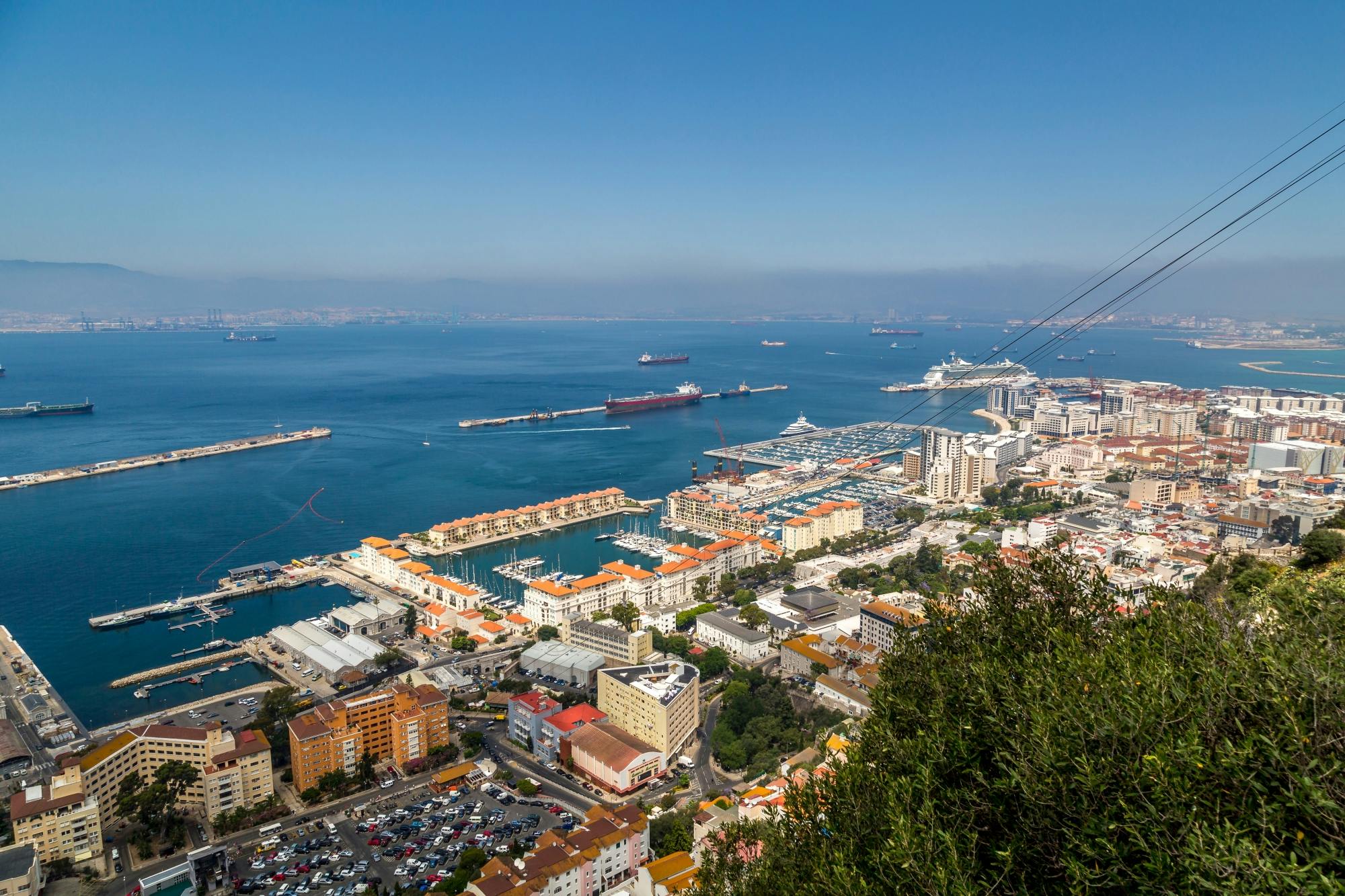 Gibraltar walking tour with dolphin-watching boat trip