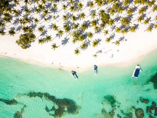 Private Saona Island cruise with exclusive beach area and lunch