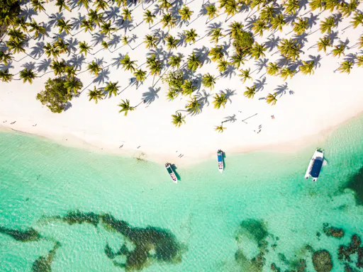 Private Saona Island cruise with exclusive beach area and lunch