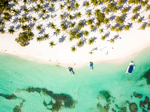 Private Saona Island cruise with exclusive beach area and lunch