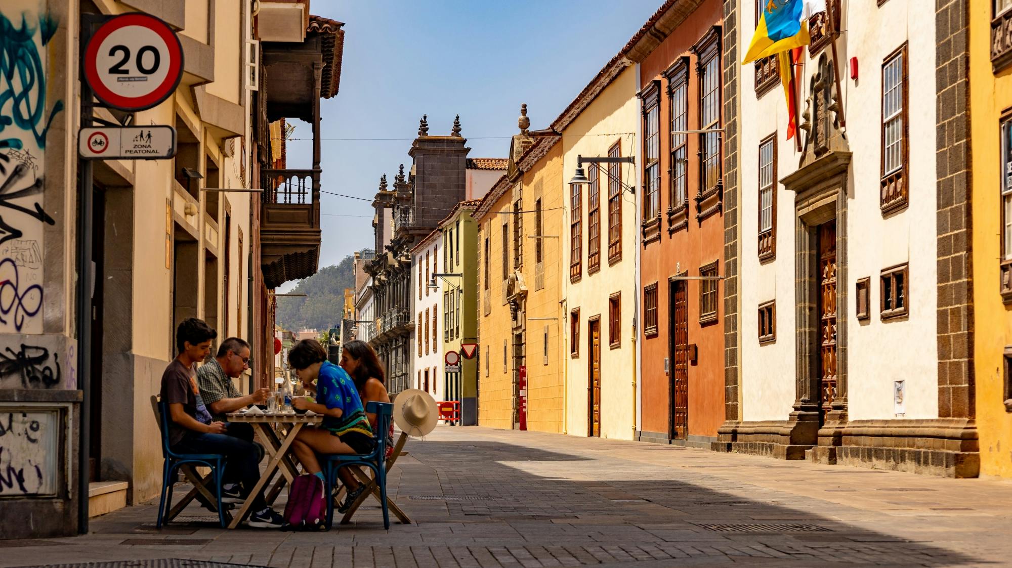 Small-group La Laguna walking tour with vineyard wine-tasting