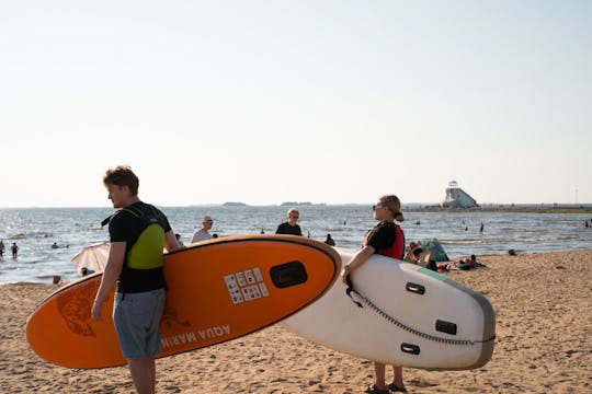 Guided SUP safari on the Oulu River delta