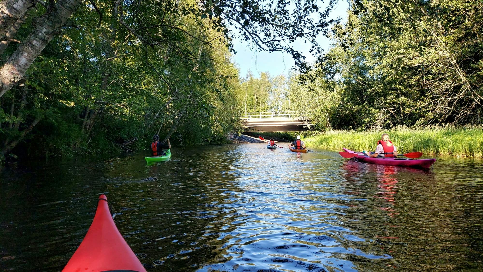 Guided kayak safari on the Oulu River delta