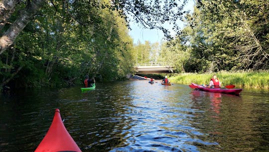 Guided kayak safari on the Oulu River delta
