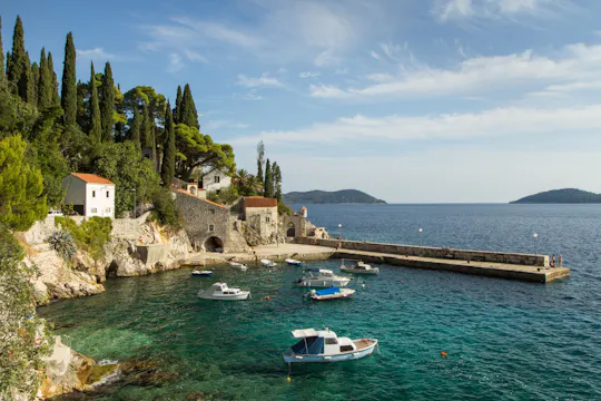 Esperienza enologica a Trsteno, Ston e Pelješac da Dubrovnik