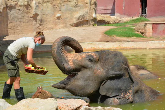 Kaartjes voor Terra Natura Zoo