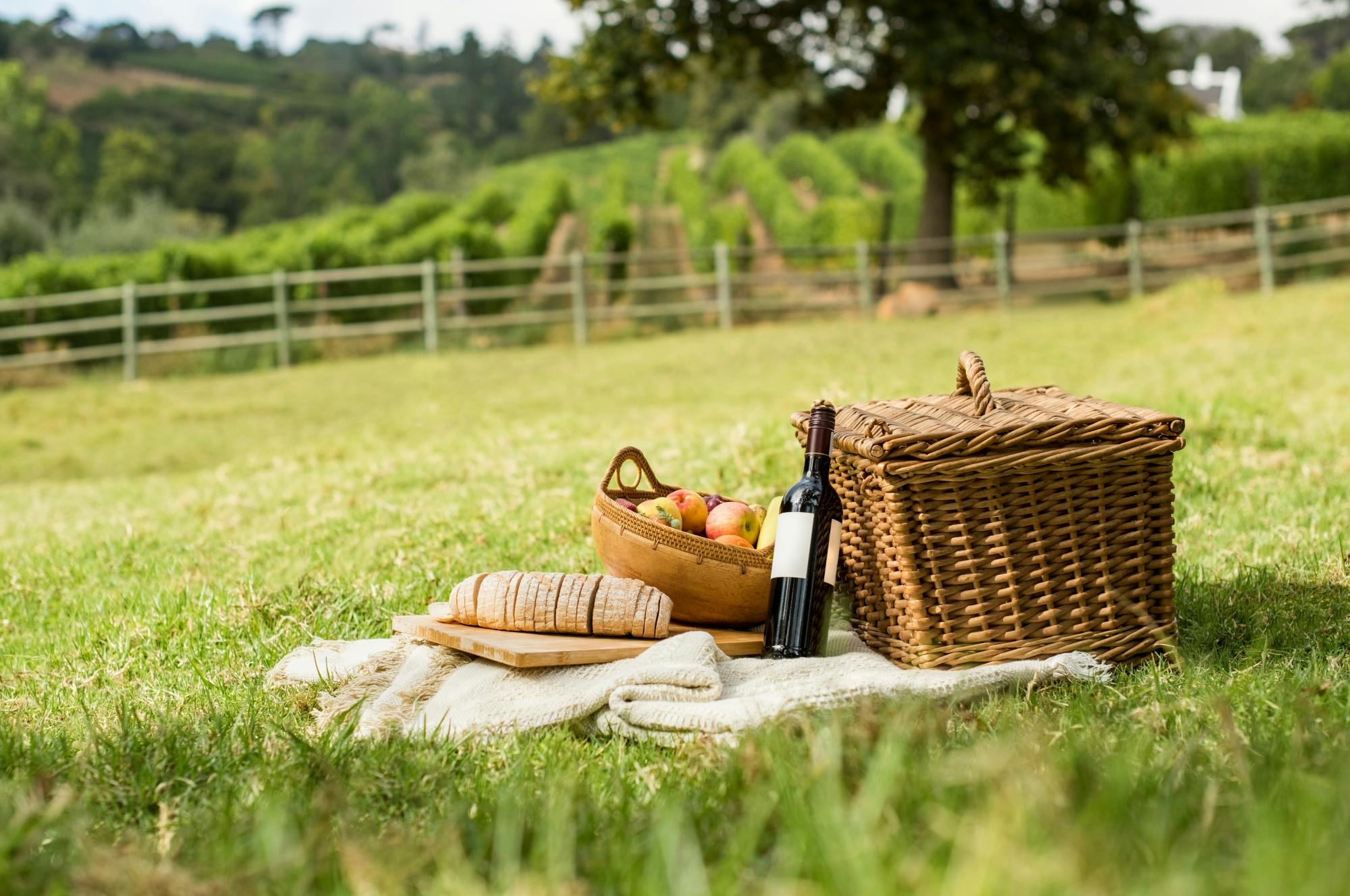 Assisi vineyard picnic and wine tasting