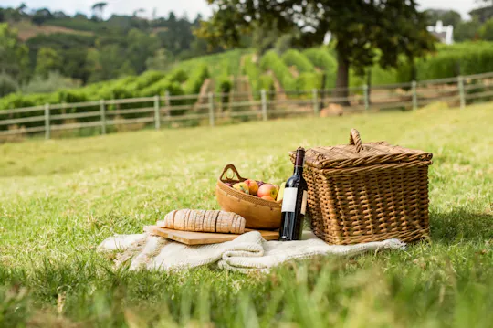 Picnic en los viñedos de Asís y degustación de vinos