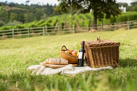 Piquenique nas vinhas de Assis e prova de vinhos