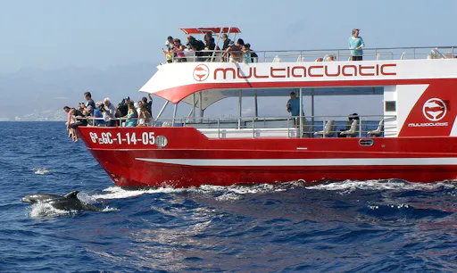 Dolphin Safari Cruises Gran Canaria by Multiacuatic
