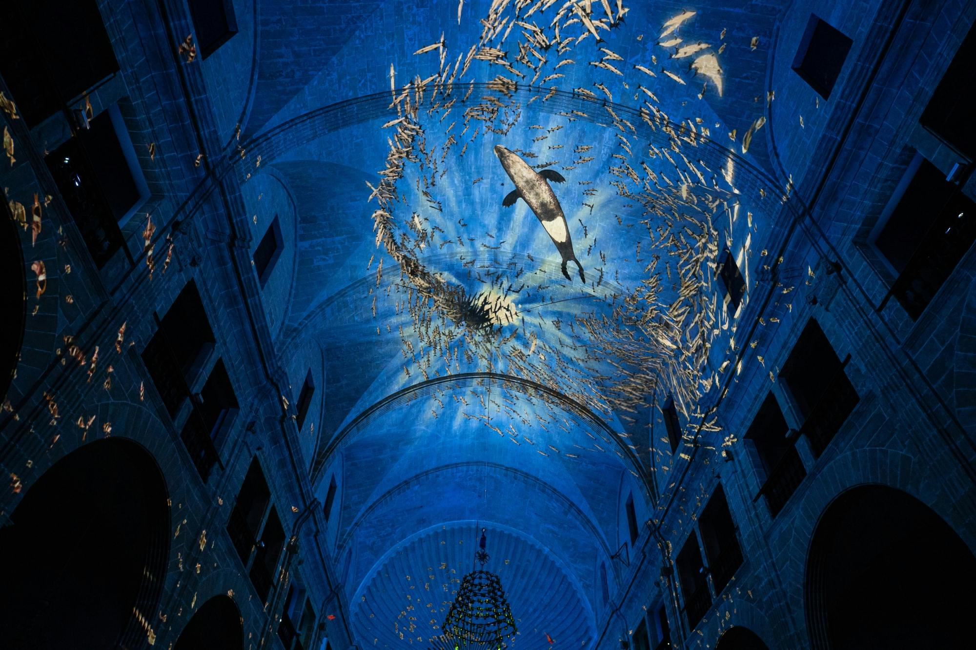 Palma tours with cathedral and Valldemossa options