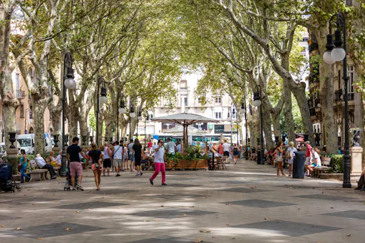 Palma by night with optional guided tour or dinner