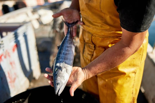 Escursione di pesca di un giorno intero a Skiathos con pranzo