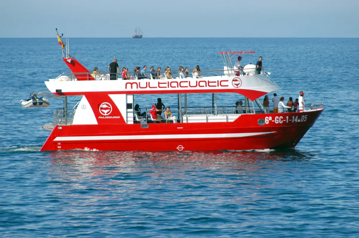 Dolphin Safari Cruises Gran Canaria by Multiacuatic