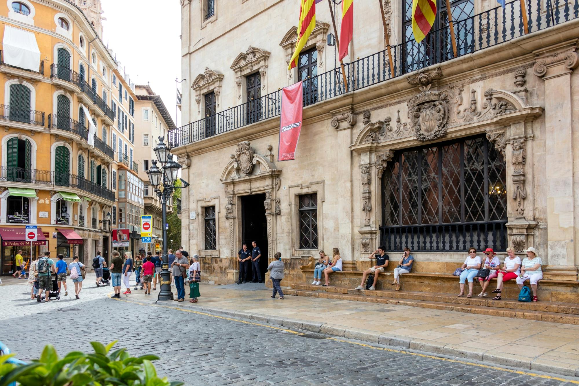 Palma by night with optional guided tour or dinner