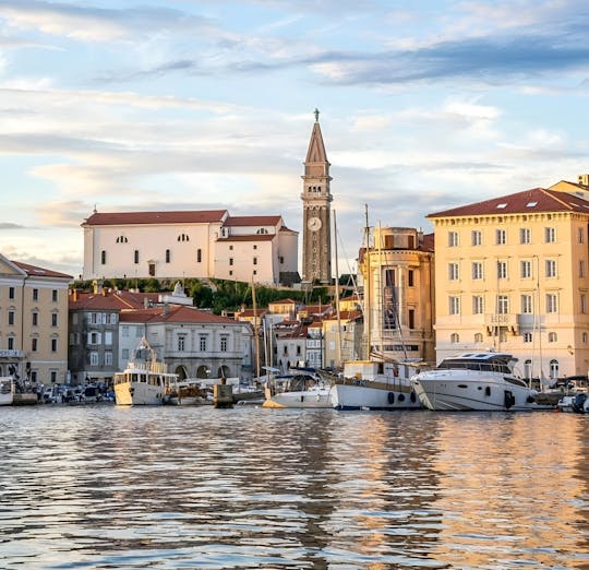 Slovenian coast guided tour from Trieste with wine and food tasting