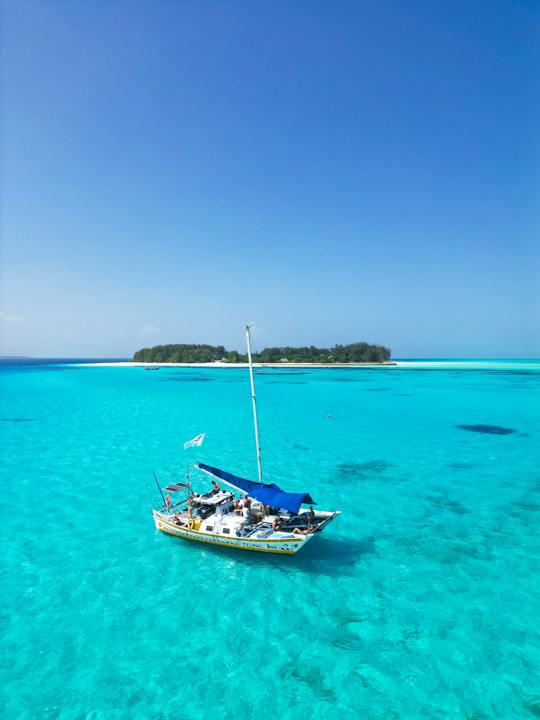 Excursion en catamaran et plongée avec tuba à Zanzibar vers le parc marin de Mnemba
