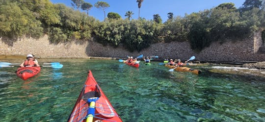 Excursión en kayak y snorkel por las cuevas y playas recónditas de Atenas