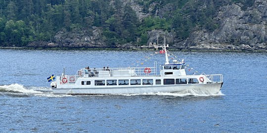 Lo más destacado del archipiélago de Estocolmo Recorrido en barco de 45 minutos con guía
