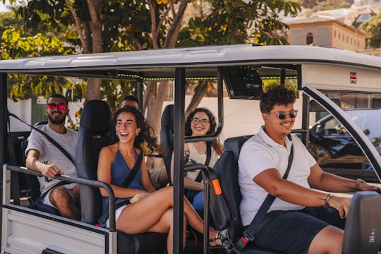 Destaques de Valência Tour privado de 2 horas em tuk-tuk elétrico