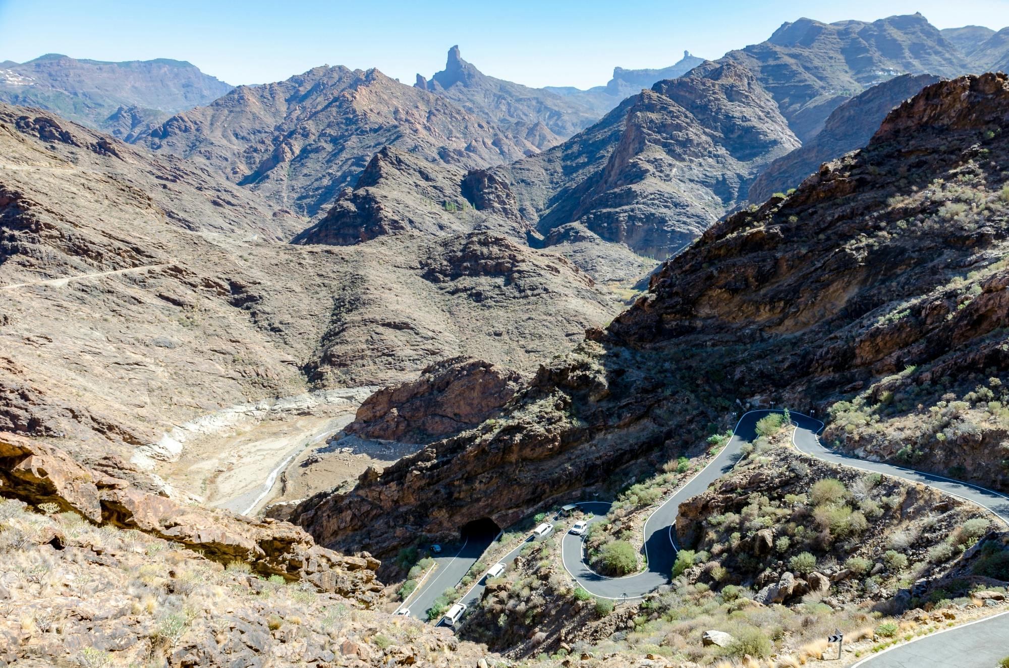 Private tour of Gran Canaria highlights with aloe vera farm