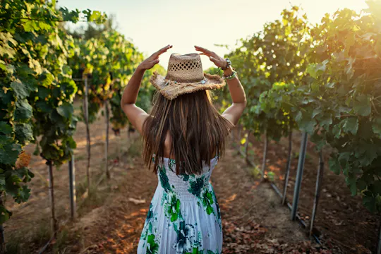 Private Halkidiki brewery and vineyard tasting tour