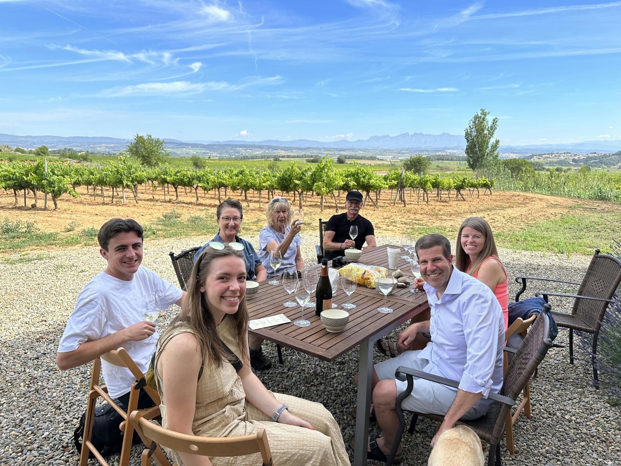 Small group cava and wine tasting day trip from Barcelona