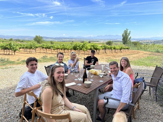 Excursión de un día con cata de vinos y cava desde Barcelona