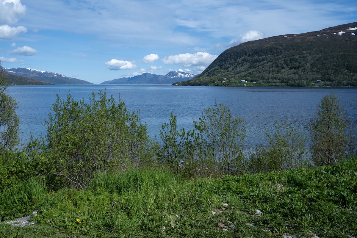 Begeleide tocht langs de Arctische fjorden vanaf Tromsø