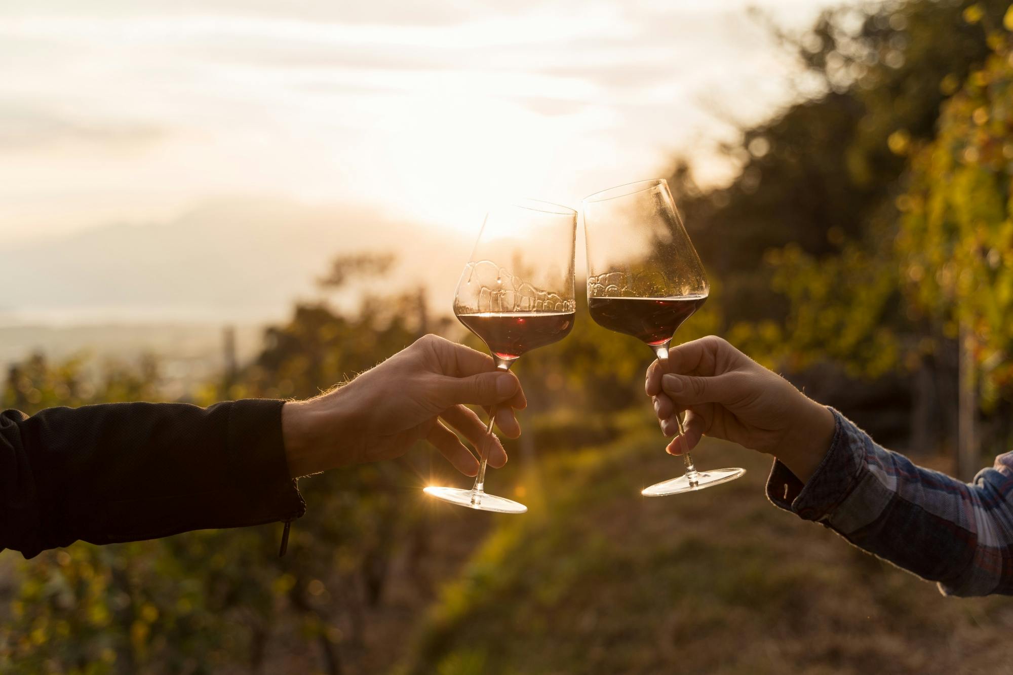Private Halkidiki brewery and vineyard tasting tour