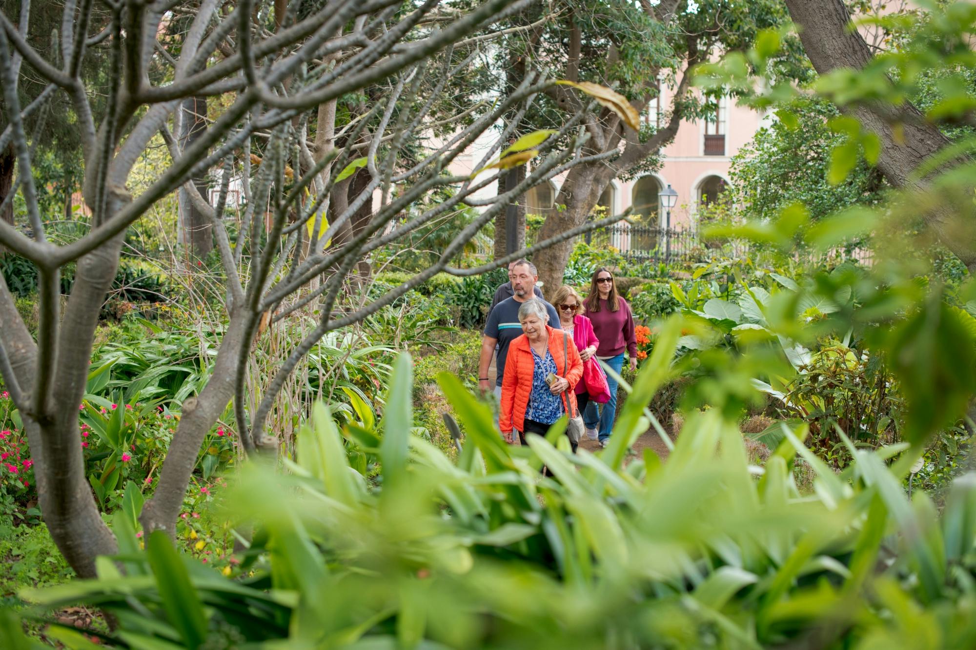Guided visit to Corpus Christi Festival in La Orotava