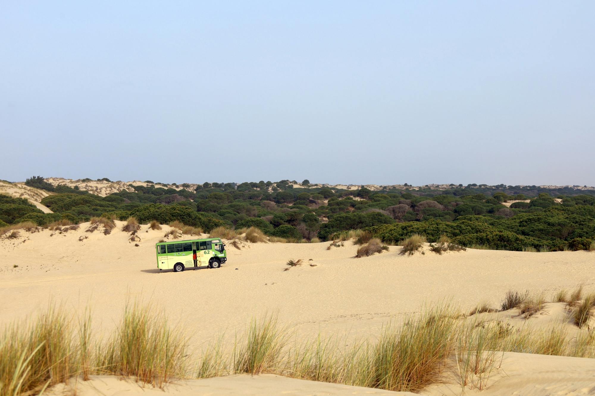 Doñana-Nationalpark mit Besuch von Sanlúcar de Barrameda