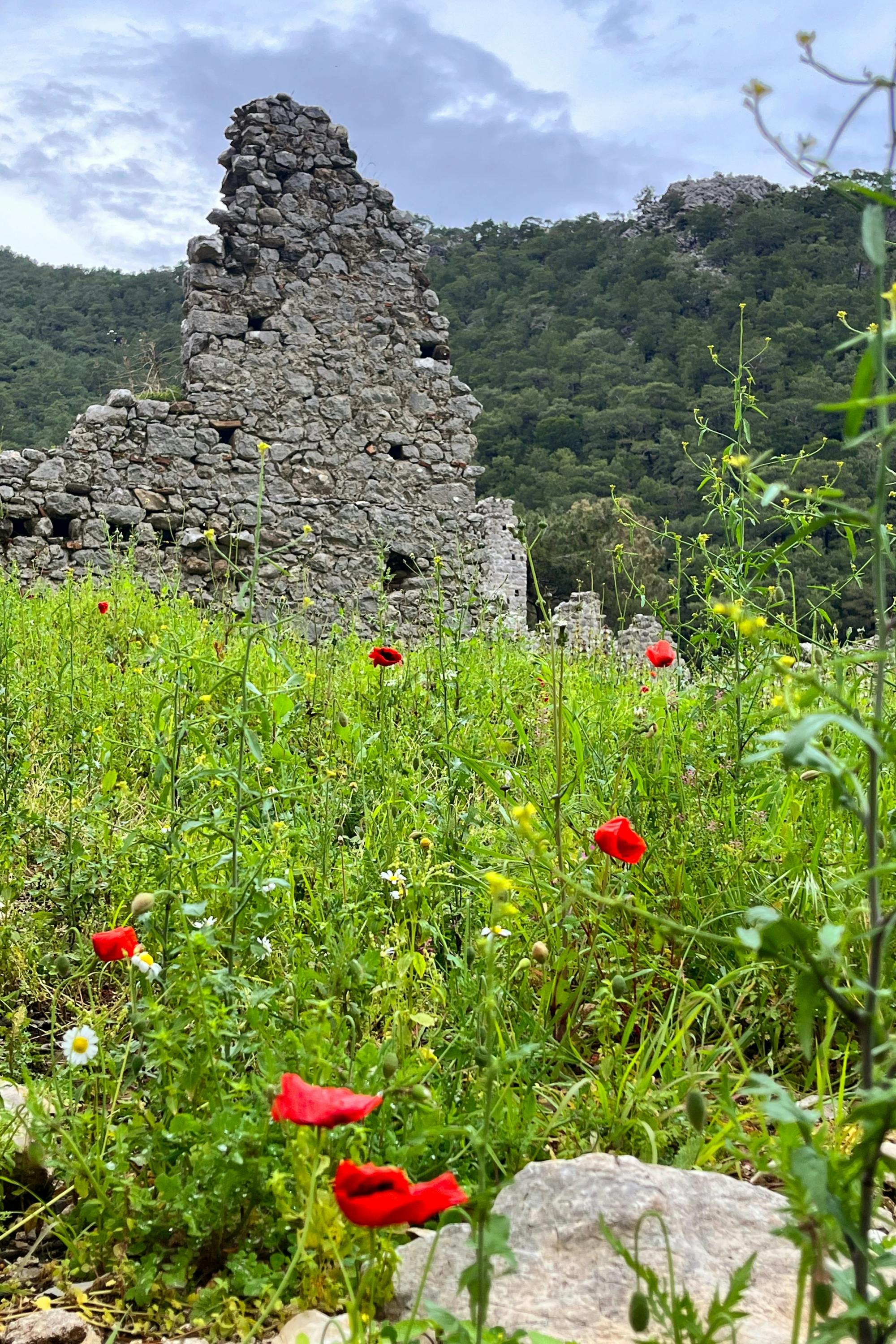 Olympos ancient city small group tour with fish on tile tasting