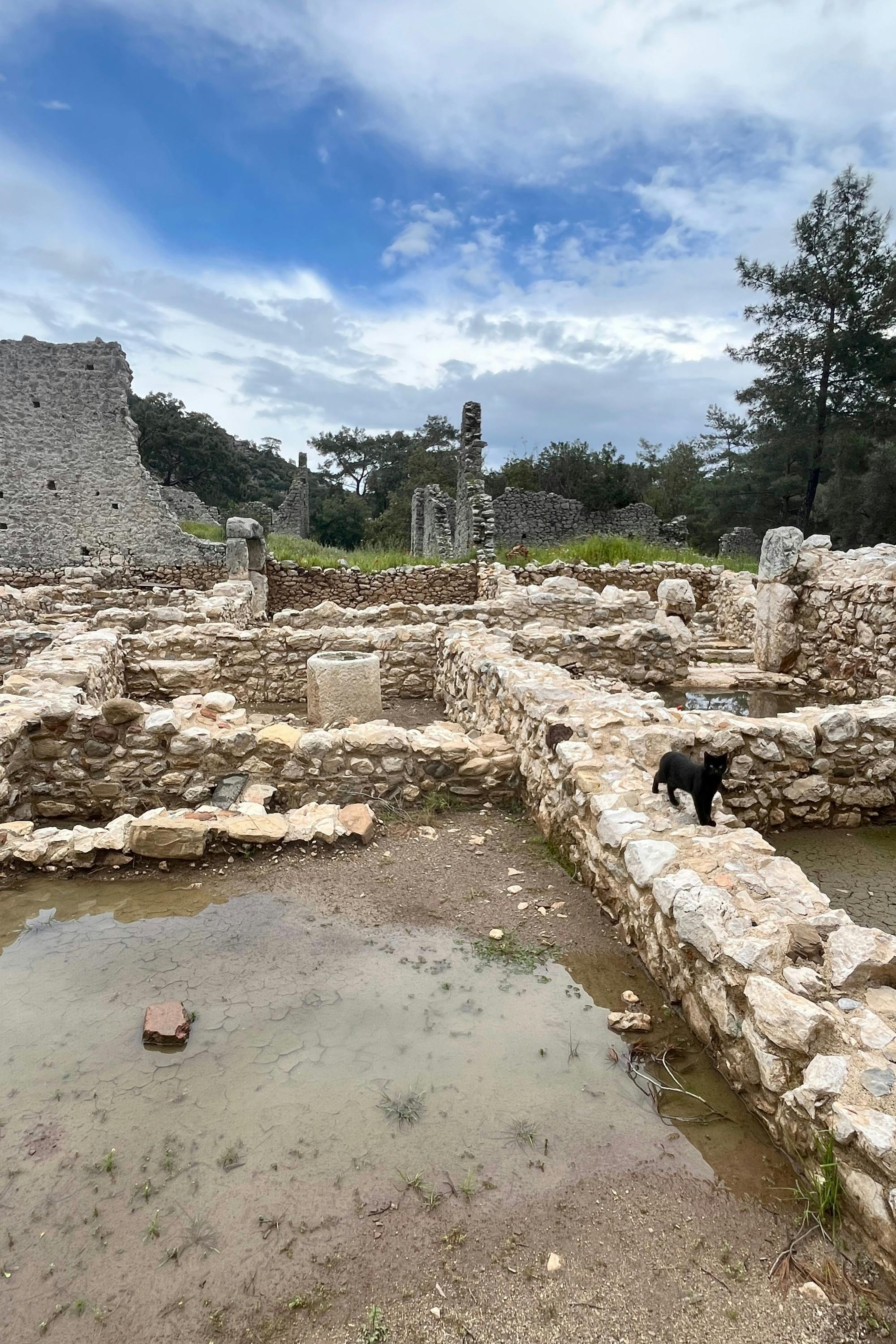 Olympos ancient city small group tour with fish on tile tasting