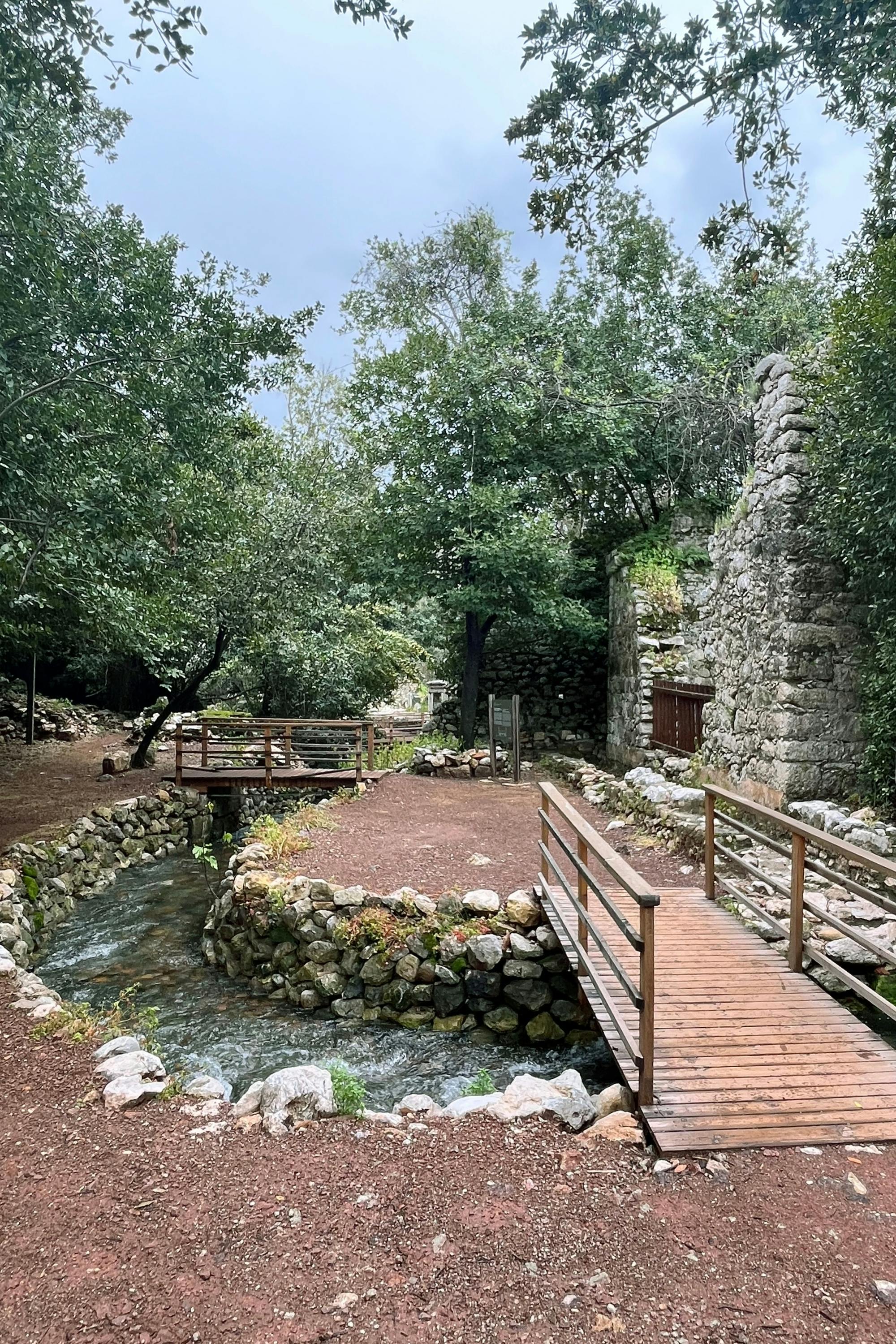 Olympos ancient city small group tour with fish on tile tasting