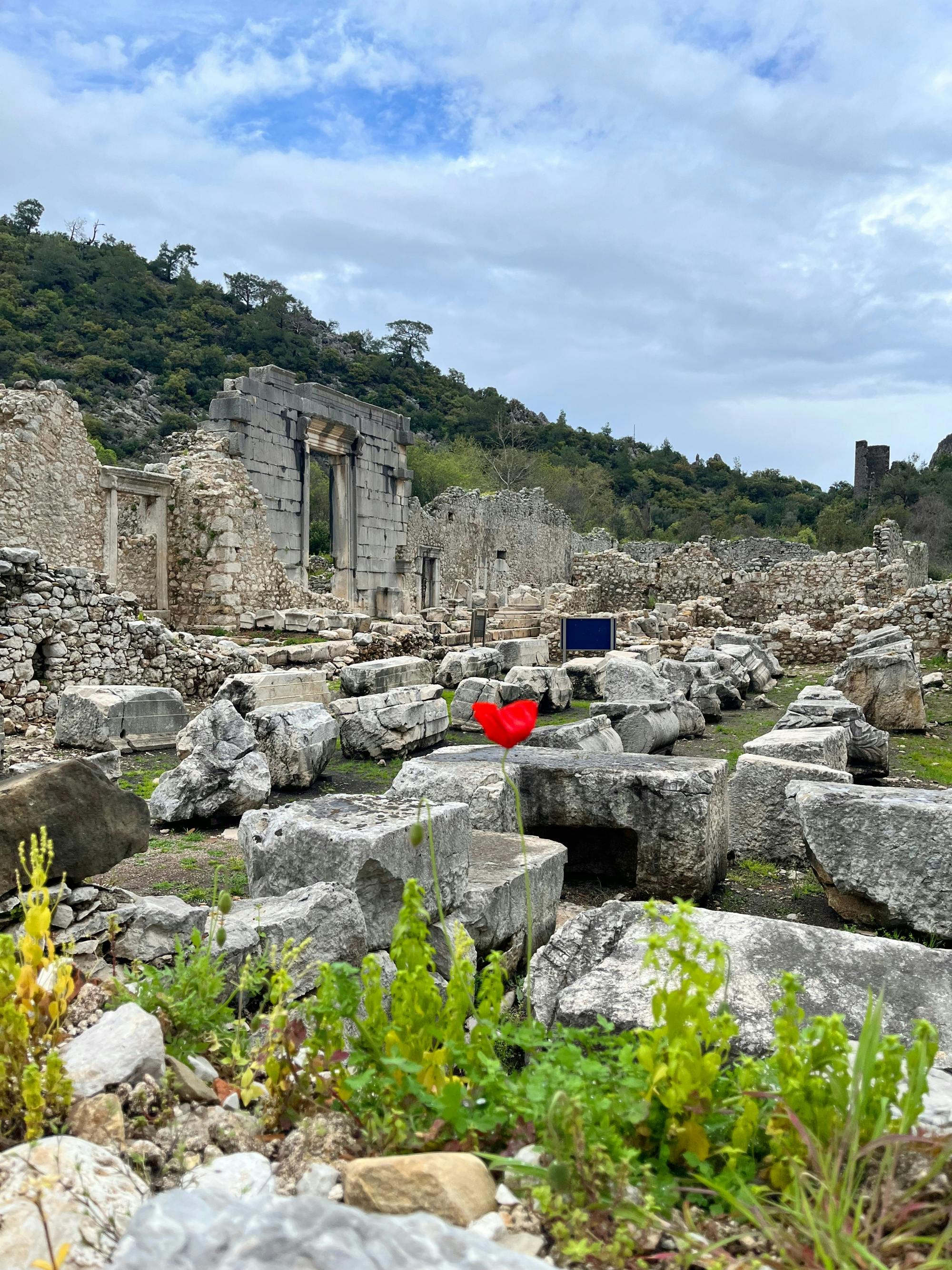 Olympos ancient city small group tour with fish on tile tasting