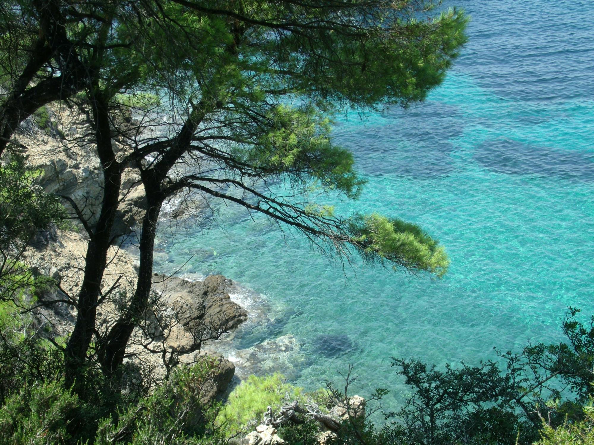 Full-day Skiathos adventure with swim stop