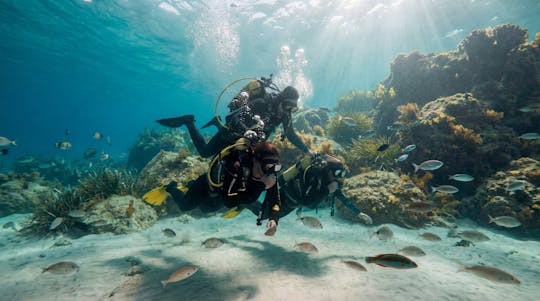 Prima esperienza di immersione subacquea in barca a Maiorca