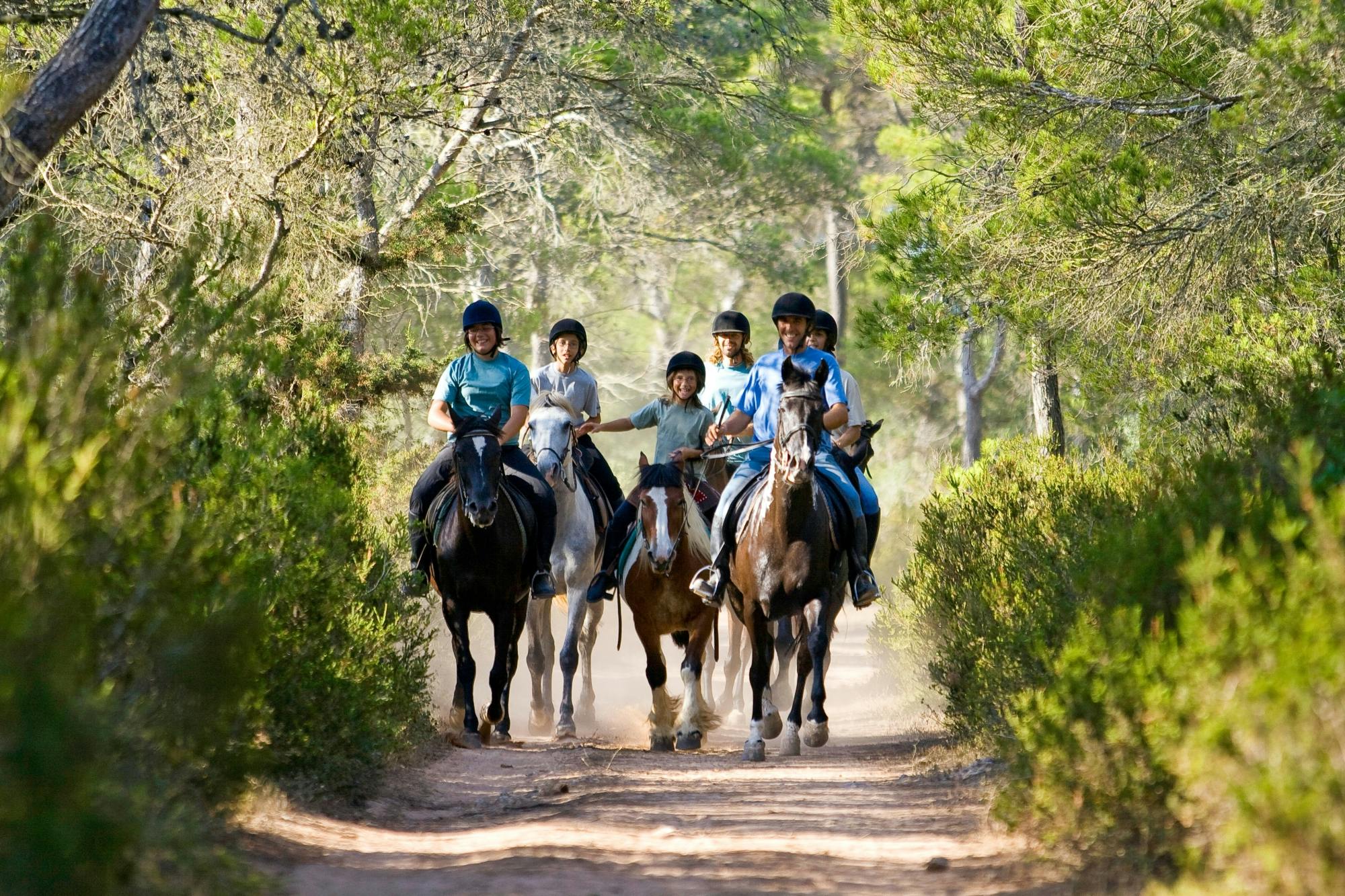Intermediate horse ride to Algaiarens Beach with transfer