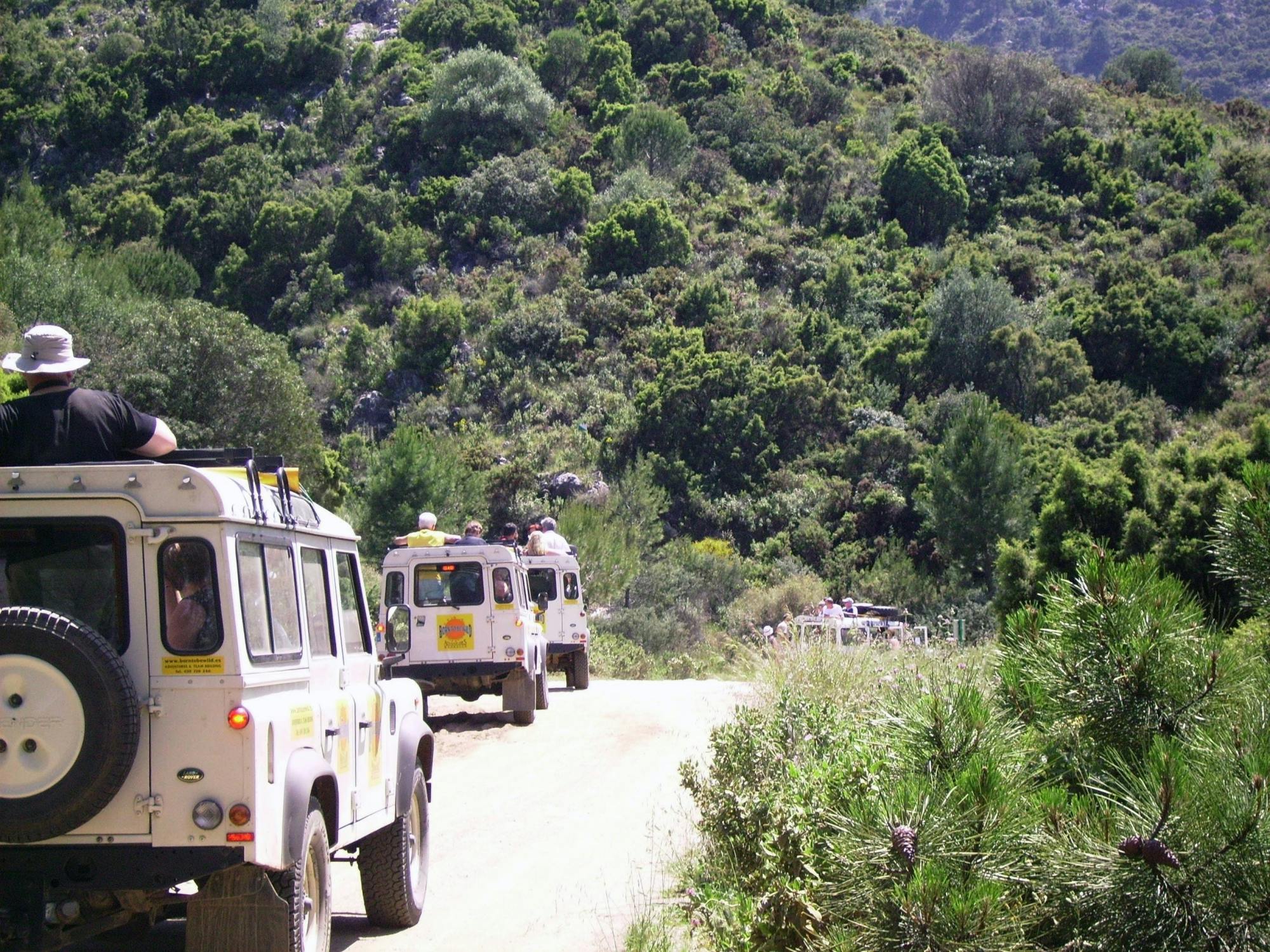 Authentic Andalucia 4x4 Tour