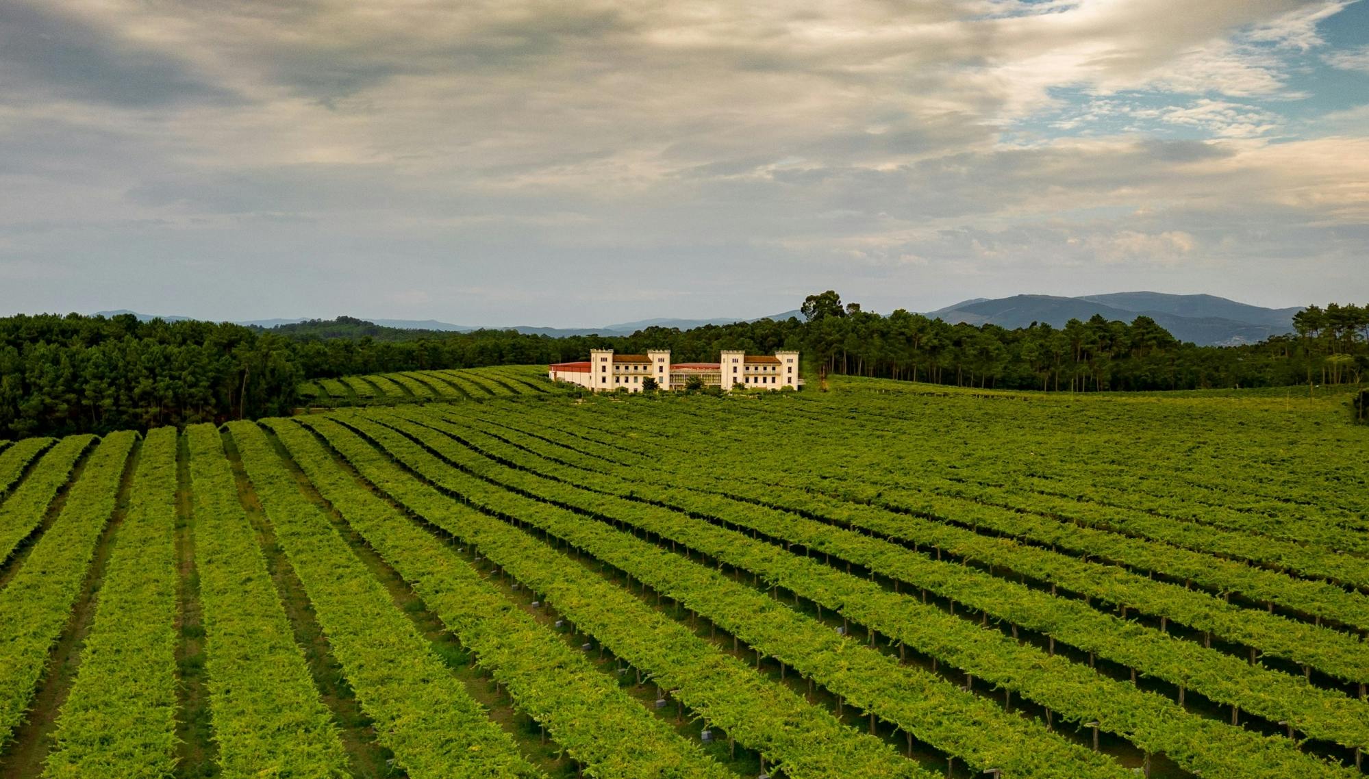 Tourguide durch das Weingut La Val mit Weinverkostung