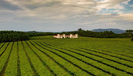 Tourguide durch das Weingut La Val mit Weinverkostung