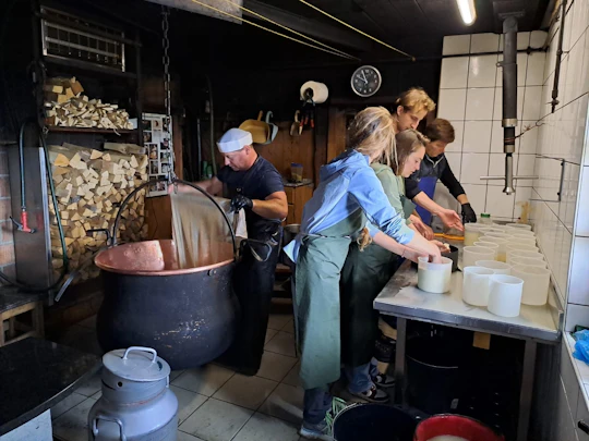 Swiss Alps cheese farm tour with cheese-making workshop
