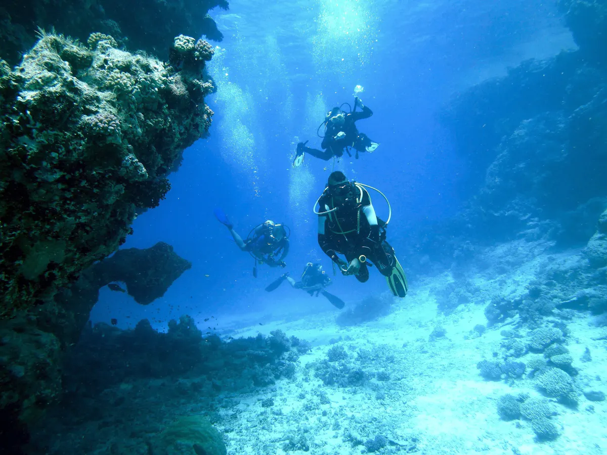 Dive for qualified divers with Binibeca Diving