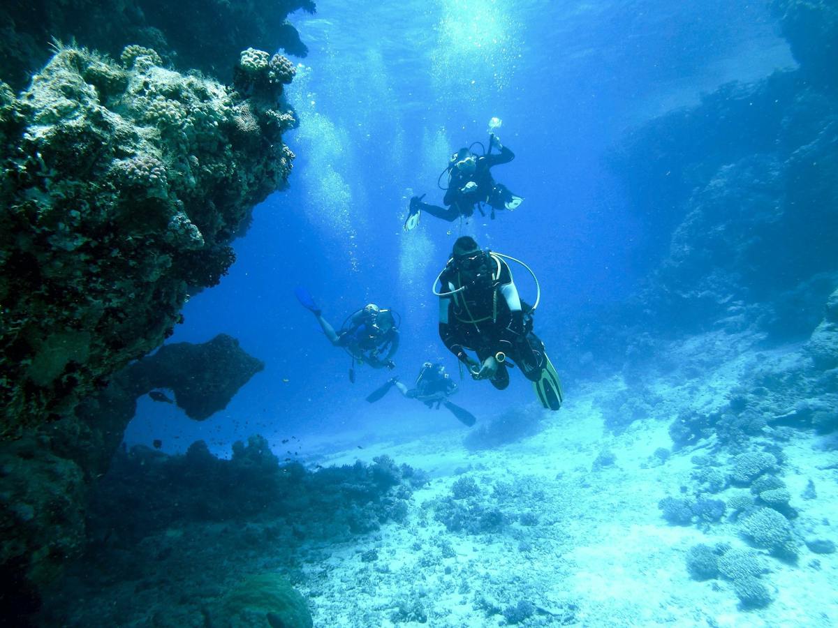Discover scuba diving with transfer with Binibeca Diving