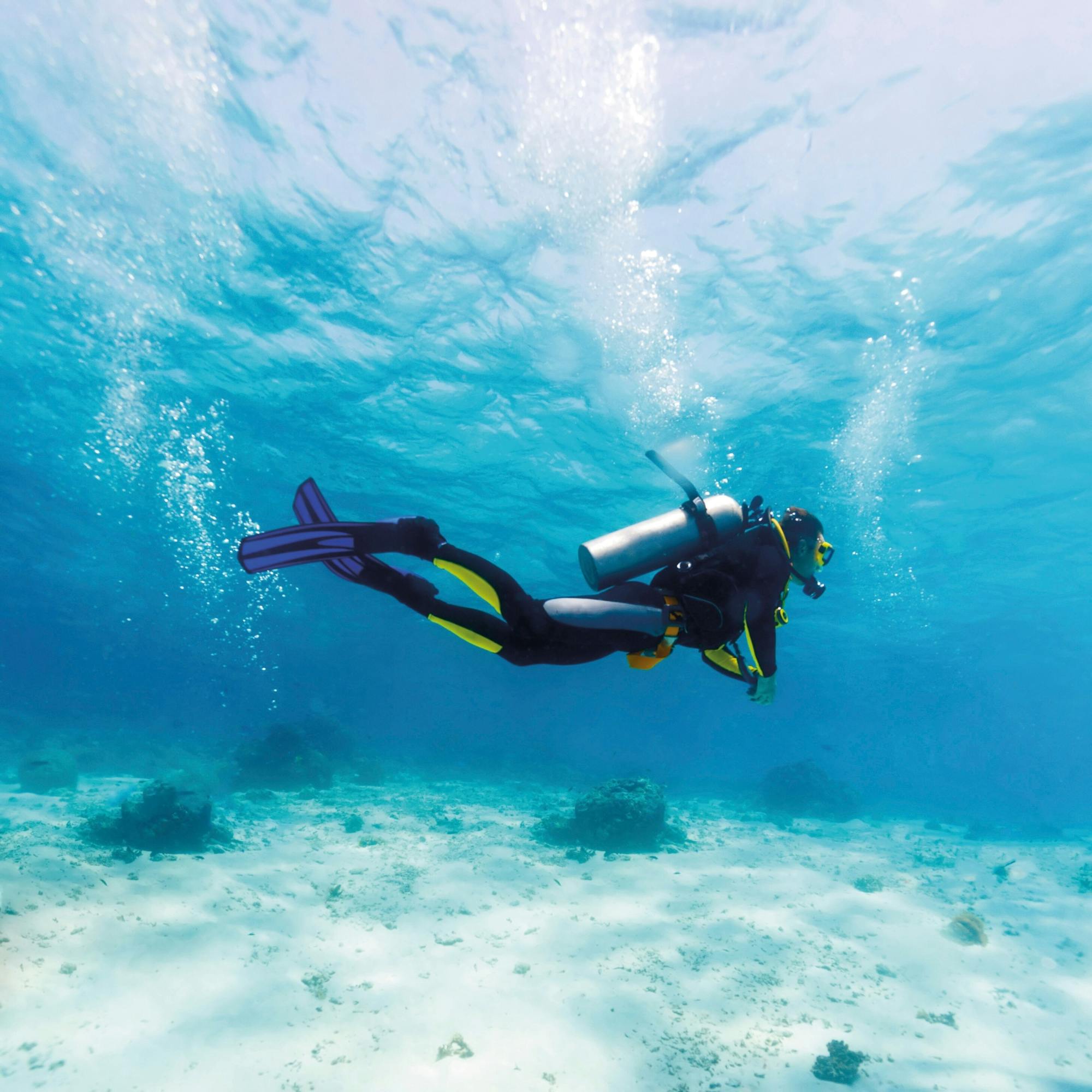 Discover scuba diving with with Binibeca Diving