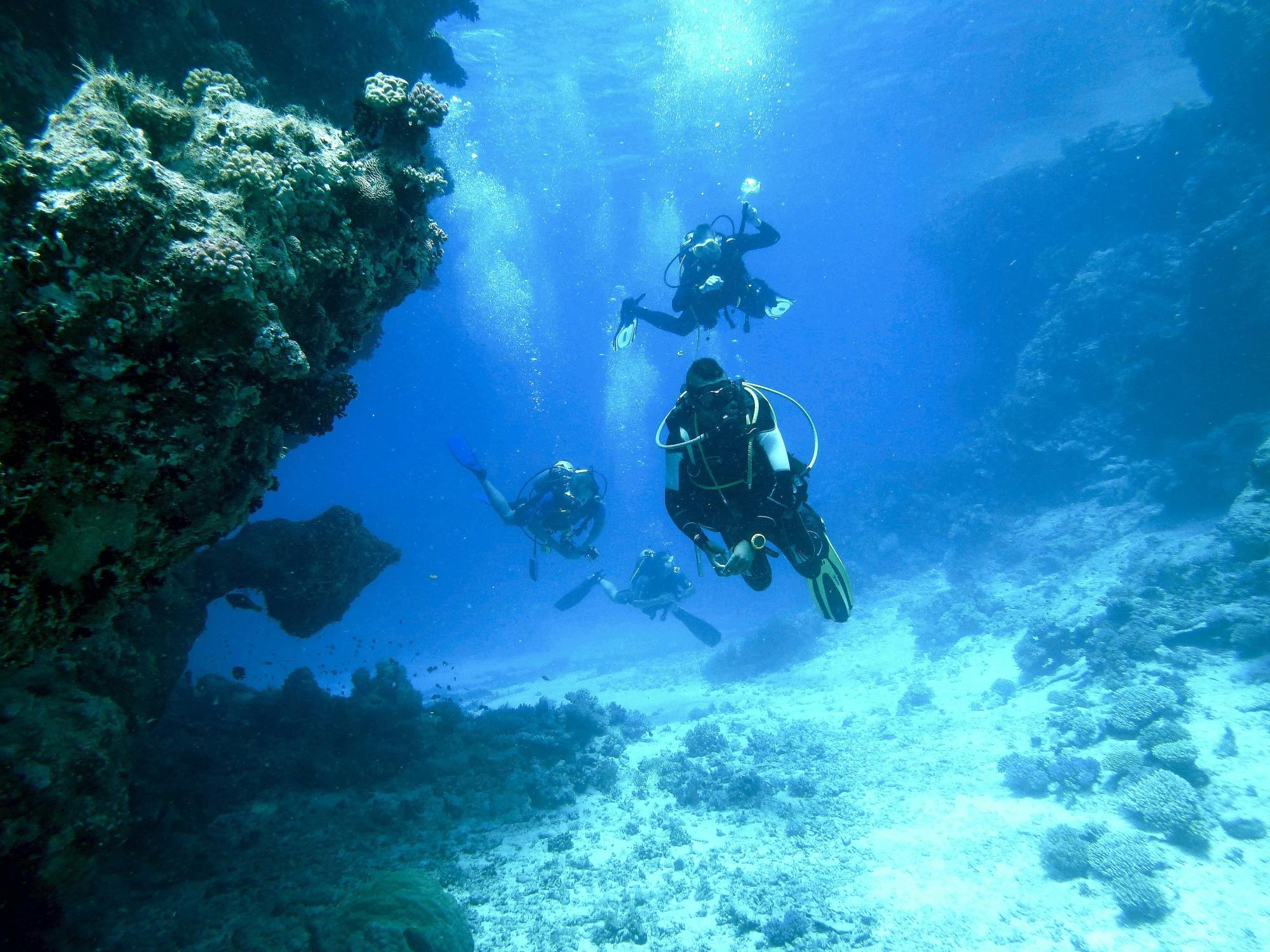 Odkryj nurkowanie z transferem z Binibeca Diving